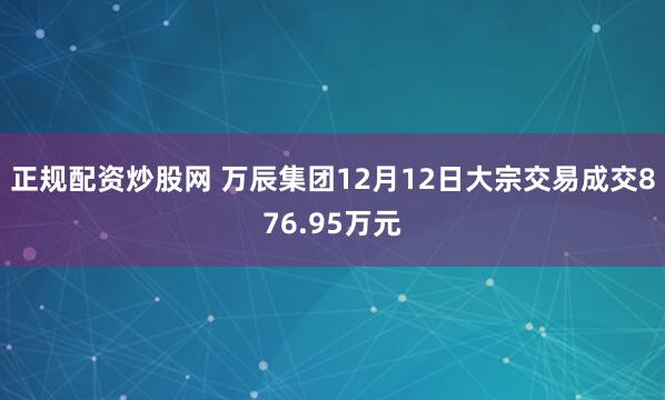 正规配资炒股网 万辰集团12月12日大宗交易成交876.95万元