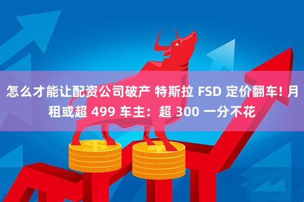 怎么才能让配资公司破产 特斯拉 FSD 定价翻车! 月租或超 499 车主：超 300 一分不花